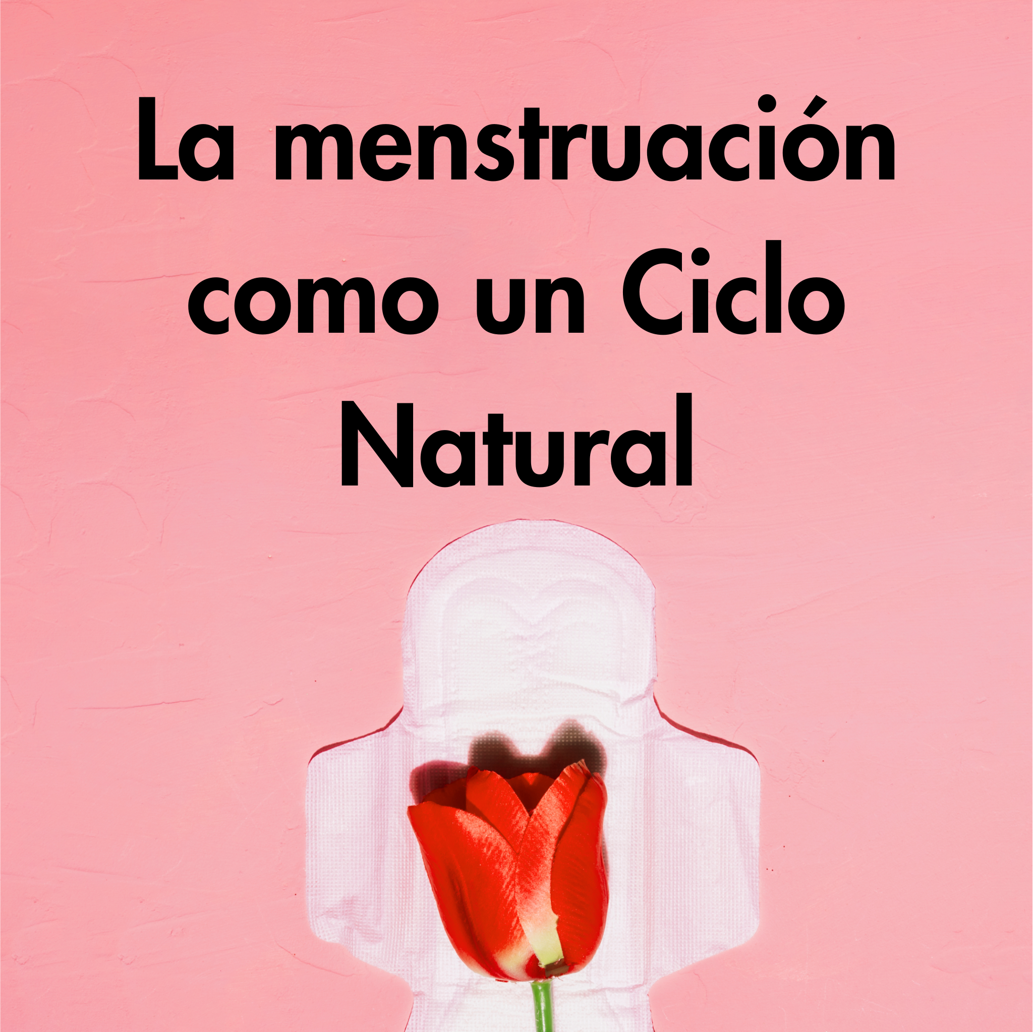 TAMPÓN CONFORT 365, ESPONJA MENSTRUAL CONFORT 365, TAMPONES PARA LA REGLA, COPA MENSTRUAL, REGLA, MENSTRUACIÓN, COMPRESAS, TAMPONES MERCADONA, TAMPONES PARA EL SEXO, TAMPÓN PARA RELACIONES, TAMPÓN HIGIÉNICO, TAMPÓN SEXO, TAMPÓN SIN ALGODÓN ESPONJA PARA LA REGLA, CÓMO PONERTE UN TAMPÓN – ESPONJA REGLA – ESPONJA PARA LA REGLA – TAMPÓN ESPONJA – ESPONJA TAMPÓN – SOFT TAMPONS