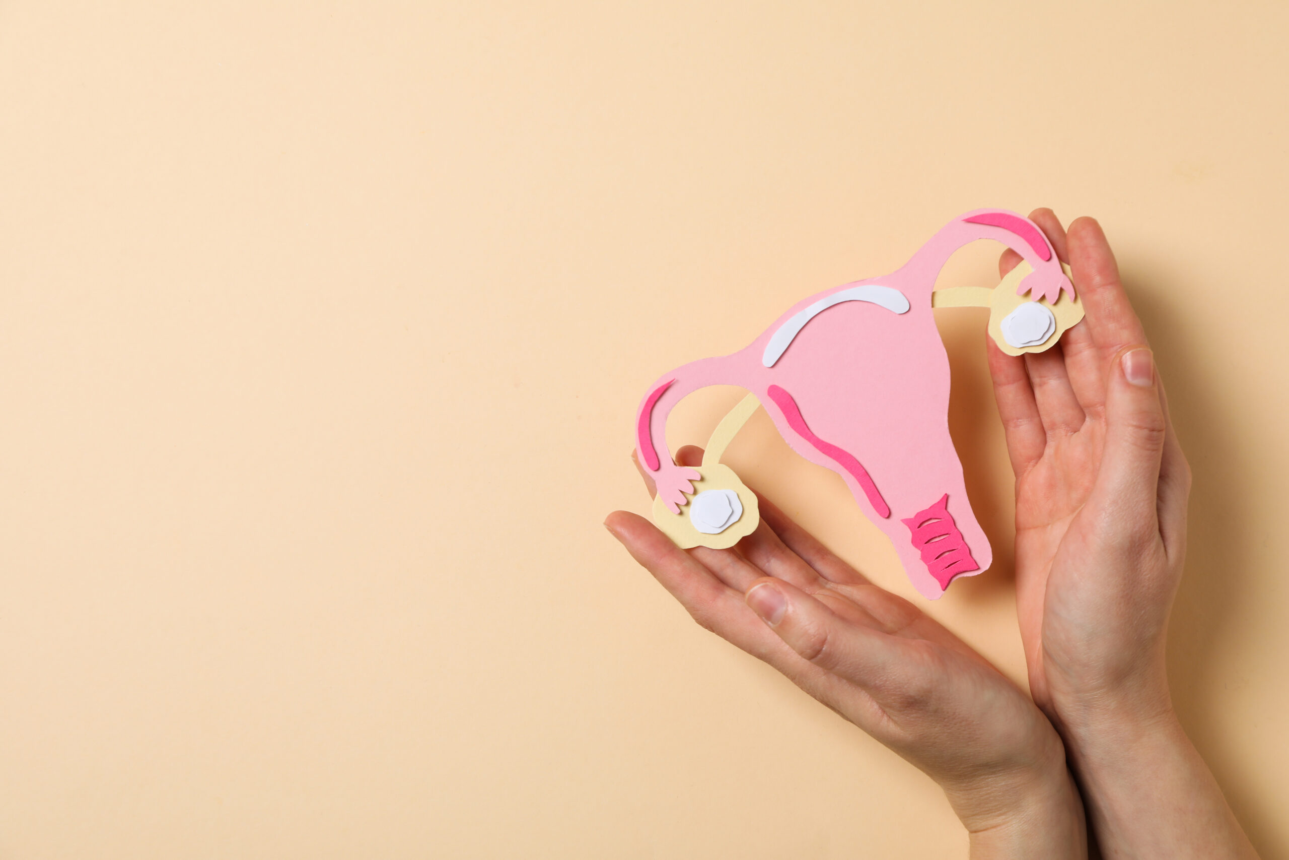 SEXO CON LA REGLA - COMO HACERLO CON LA REGLA - TAMPÓN CONFORT 365 - ESPONJA CONFORT 365 - TAMPÓN SEXO – ESPONJA MENSTRUAL PARA TENER RELACIONES – MENSTRUACION SEXO – RELACIONES CON LA REGLA – SE PUEDE HACER EL AMOR CON LA REGLA – SE PUEDE TENER RELACIONES CON LA REGLA – SE PUEDE TENER SEXO CON LA REGLA – SE PUEDE TENER RELACIONES SEXUALES CON LA REGLA -