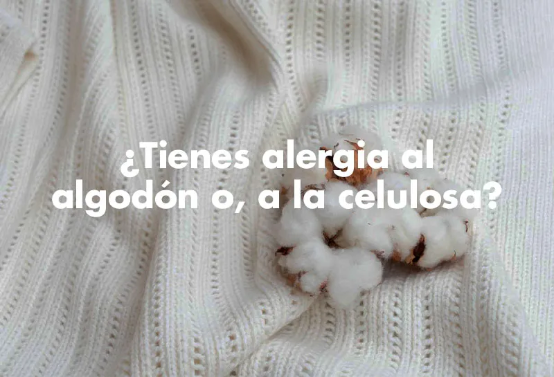 TAMPÓN CONFORT 365,ESPONJA MENSTRUAL CONFORT 365, TAMPONES PARA LA REGLA, COPA MENSTRUAL, REGLA, MENSTRUACIÓN, COMPRESAS, TAMPONES MERCADONA, TAMPONES PARA EL SEXO, TAMPÓN PARA RELACIONES, TAMPÓN HIGIÉNICO, TAMPÓN SEXO, TAMPÓN SIN ALGODÓN ESPONJA PARA LA REGLA, CÓMO PONERTE UN TAMPÓN – ESPONJA REGLA – ESPONJA PARA LA REGLA – TAMPÓN ESPONJA – ESPONJA TAMPÓN – SOFT TAMPONS